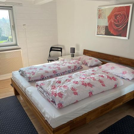Gemuetliche Ferienwohnung Im Altbau Гослар Экстерьер фото